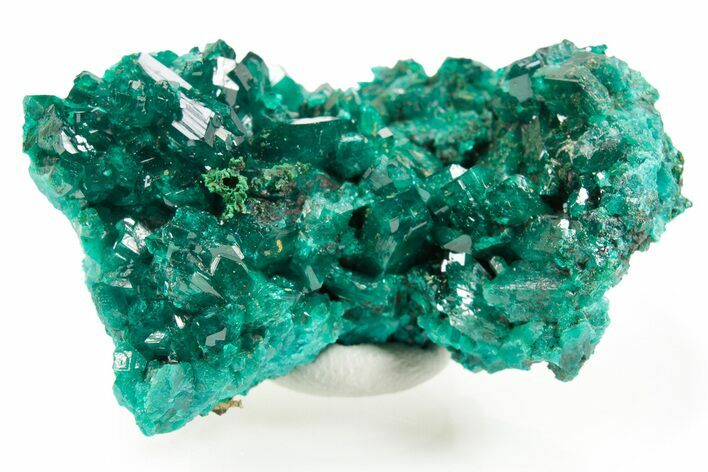 Emerald-Green Dioptase Crystal Cluster - Congo #366015